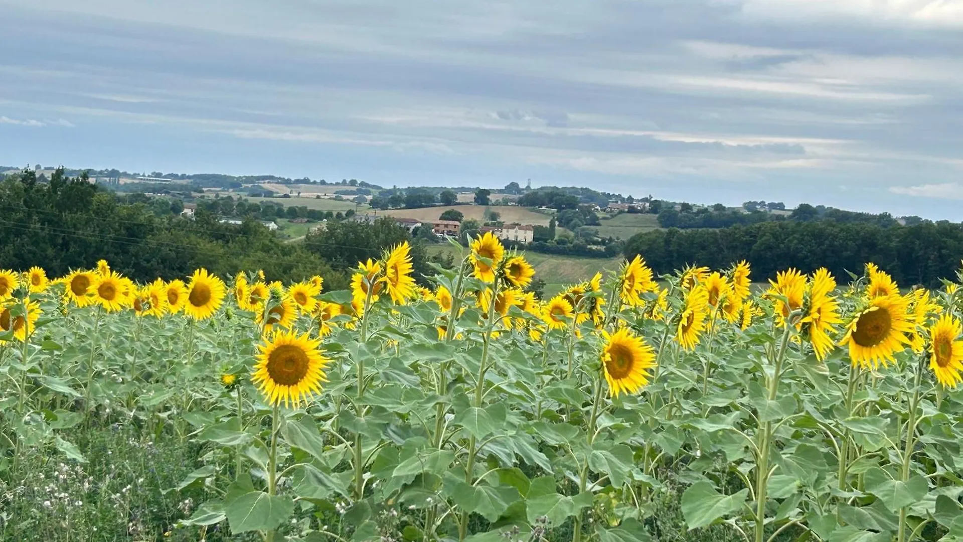 Lovely Holiday Stay Bassoues